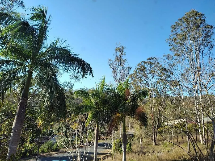 Bed and Breakfast Three Palms Kooralbyn 0*,