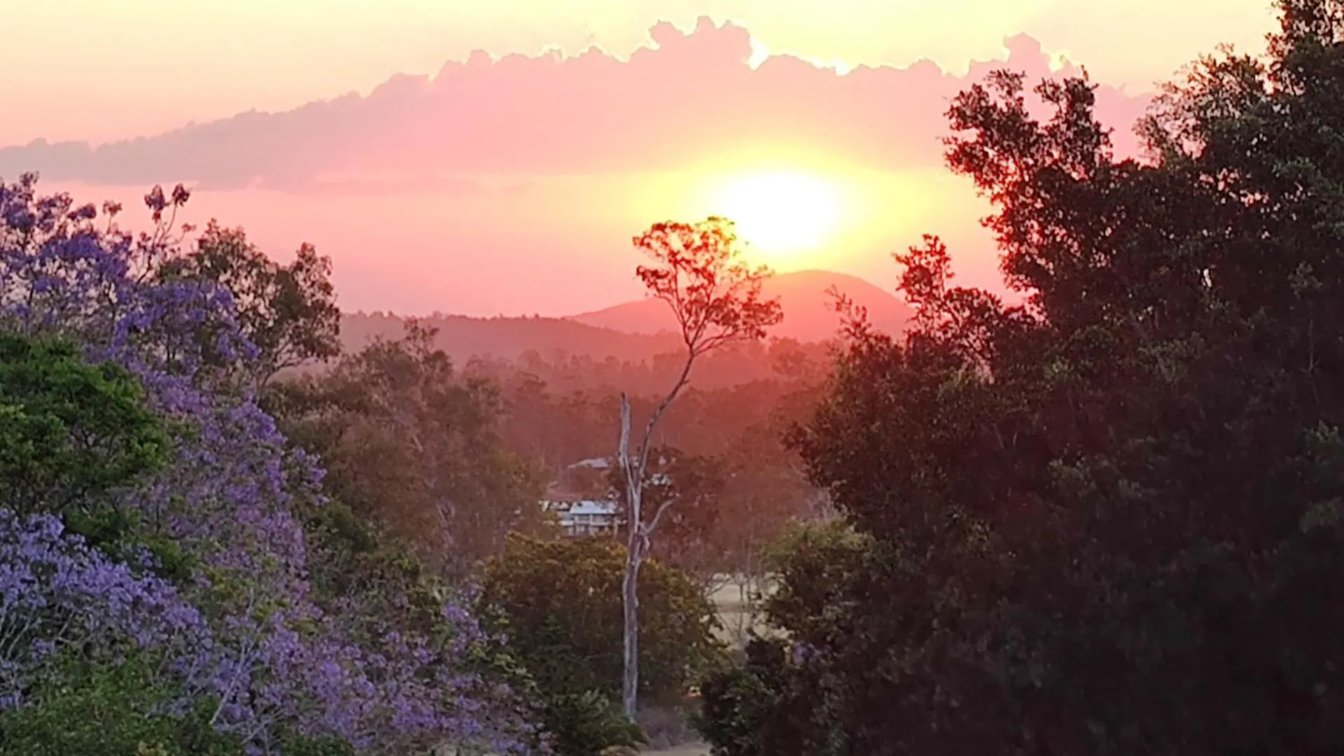 Bed & Breakfast Bed and Breakfast Three Palms Kooralbyn